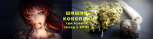 ГАЛЛЮЦИНОГЕННЫЕ ГРИБЫ Гусев