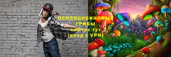 ГАЛЛЮЦИНОГЕННЫЕ ГРИБЫ Гусев