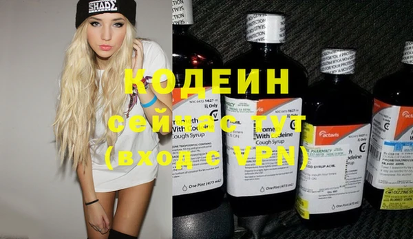 ГАЛЛЮЦИНОГЕННЫЕ ГРИБЫ Гусев