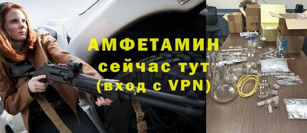 ГАЛЛЮЦИНОГЕННЫЕ ГРИБЫ Гусев