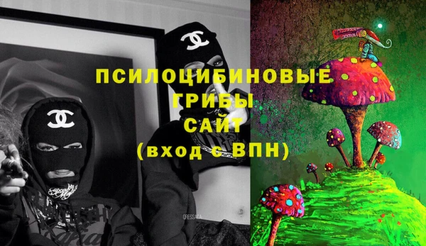 ГАЛЛЮЦИНОГЕННЫЕ ГРИБЫ Гусев