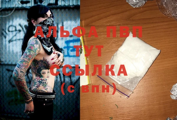 дурь Гусиноозёрск