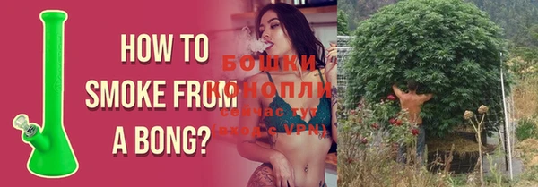 ГАЛЛЮЦИНОГЕННЫЕ ГРИБЫ Гусев