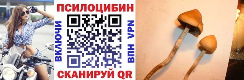 купить наркотики сайты  ссылка на мегу ССЫЛКА  Галлюциногенные грибы ЛСД  Ермолино 